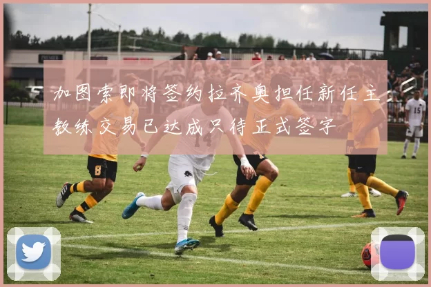 加图索即将签约拉齐奥担任新任主教练交易已达成只待正式签字