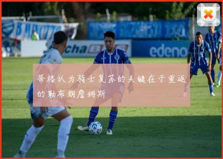 蒂格认为骑士复苏的关键在于重返的勒布朗詹姆斯